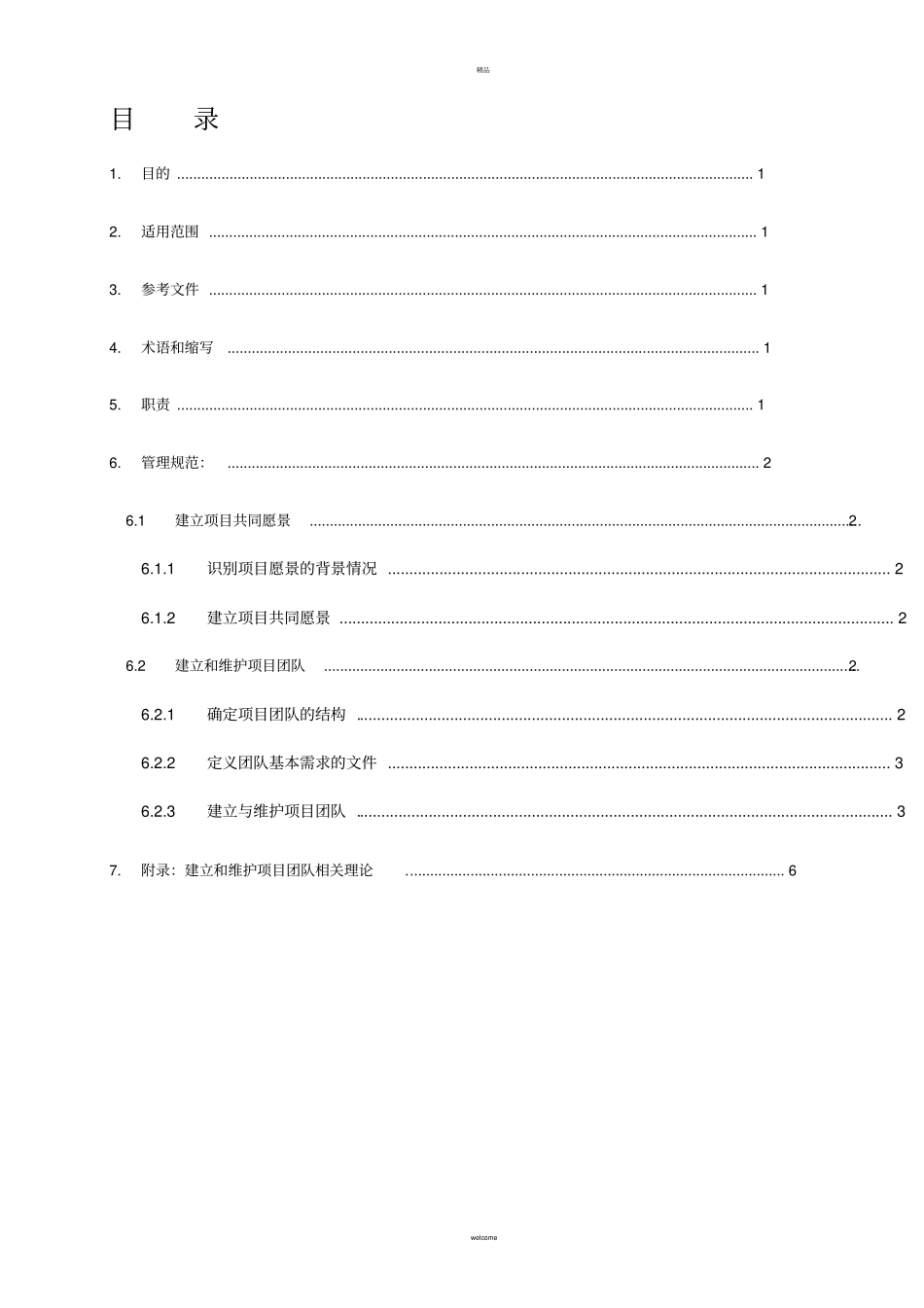 项目团队管理规范_第3页
