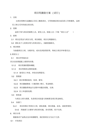 项目奖激励方案