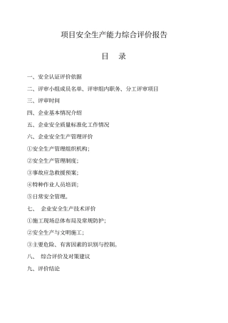 项目安全生产能力综合评价报告