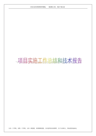 项目实施工作总结和技术报告14p