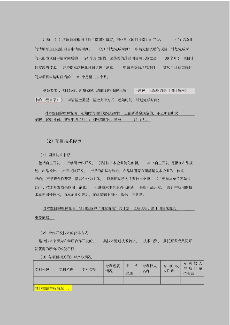 项目技术与产品实现_第2页