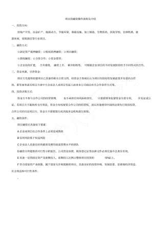项目投融资操作流程及介绍