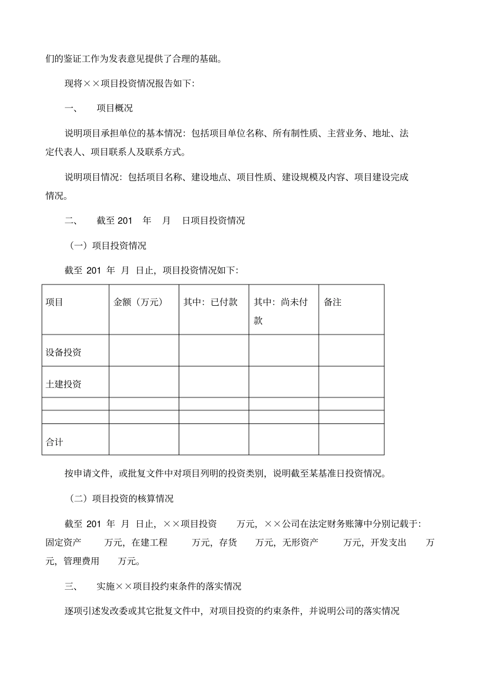 项目投资专项审计报告_第2页