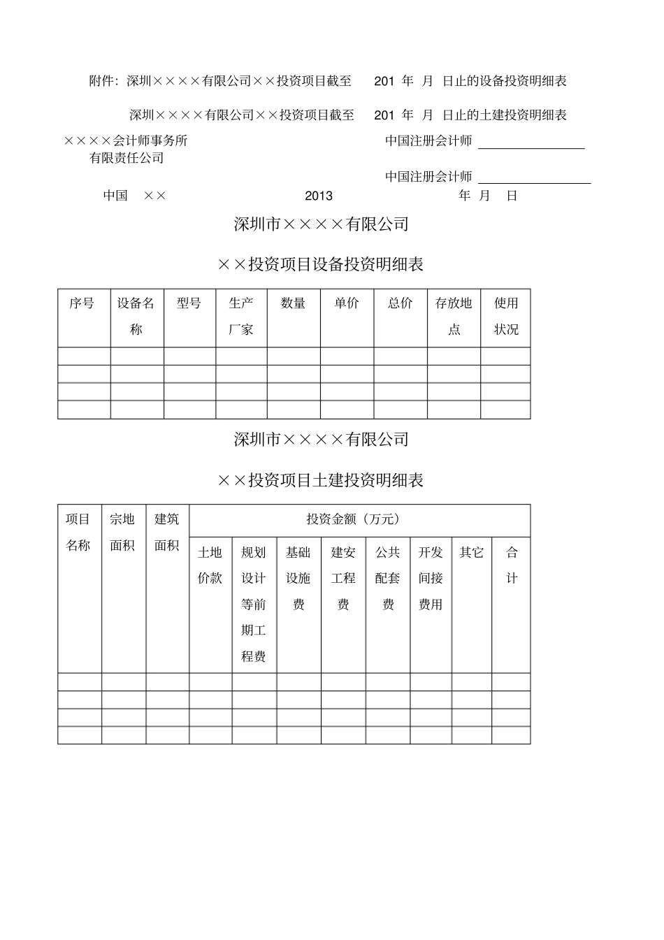 项目投资专项审计报告_第3页