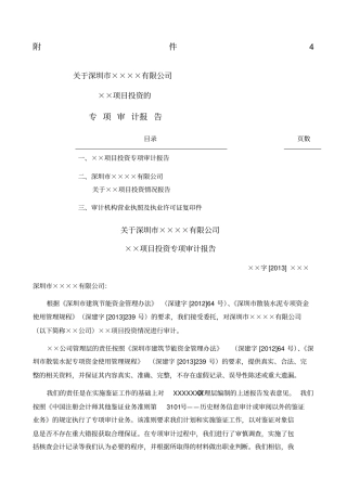 项目投资专项审计报告