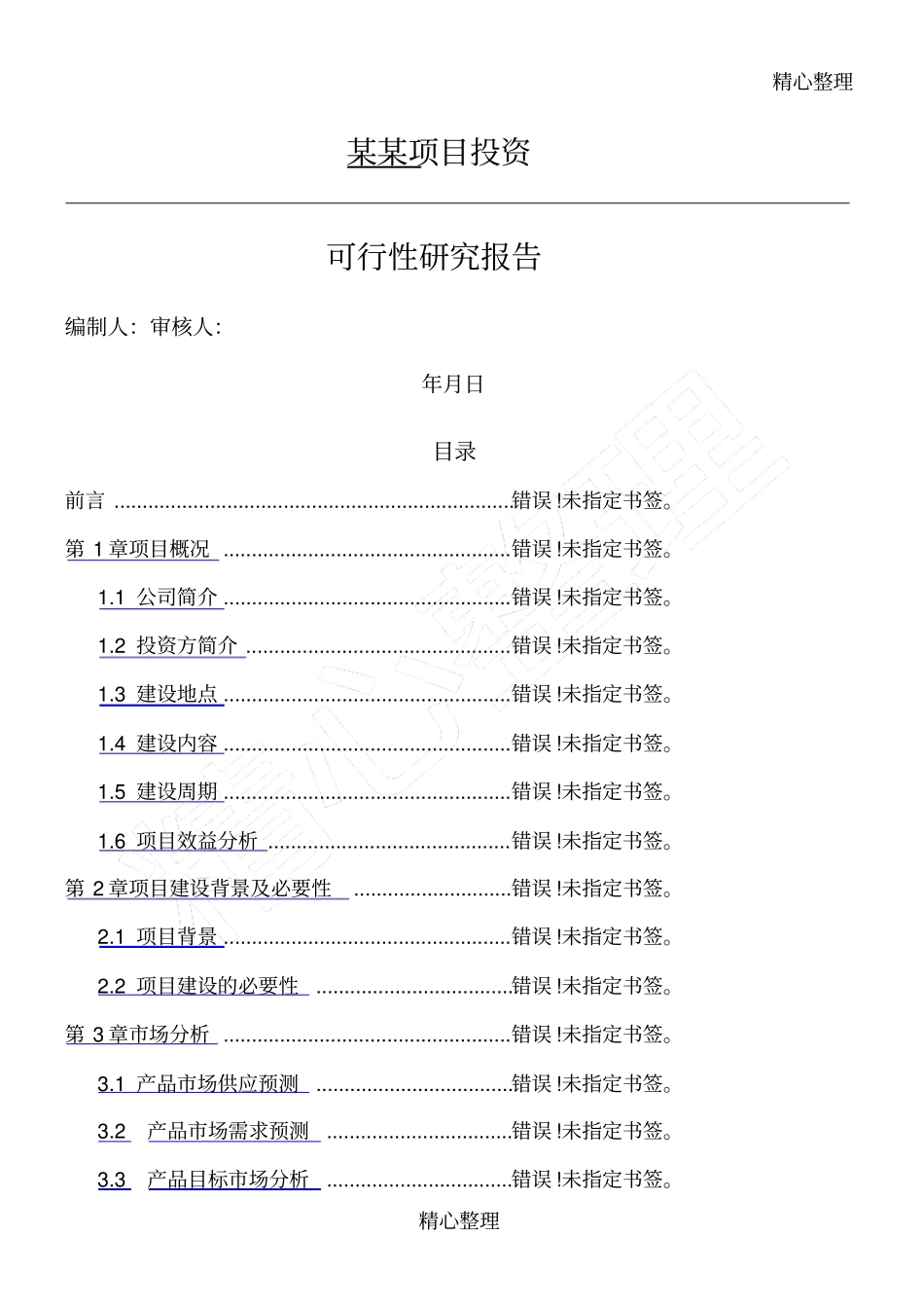 项目投资可行性报告的范文_第1页