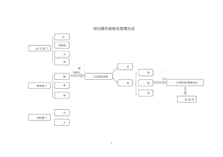 项目操作流程