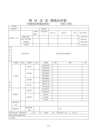 项目支出绩效自评表