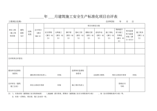 项目月度自评表总表+19项分表