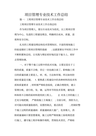项目管理专业技术工作总结