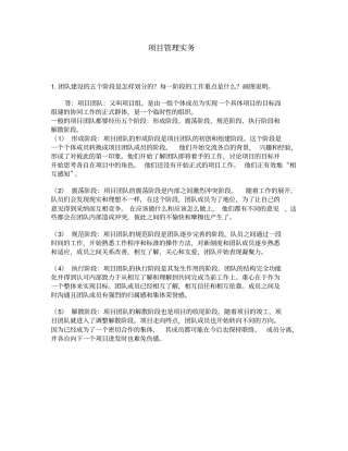 项目管理实务