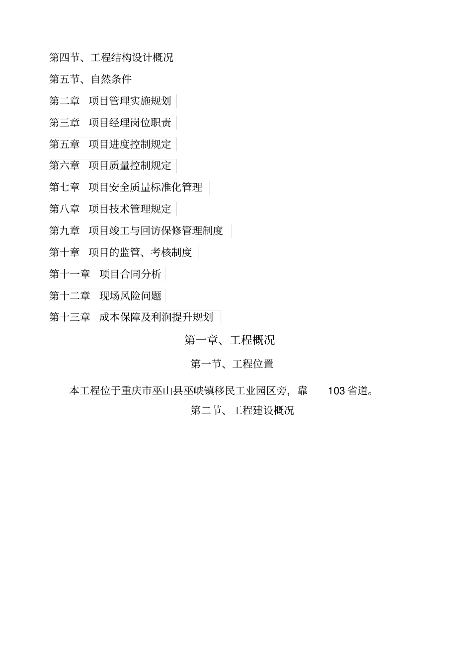 项目管理实施规划_第2页