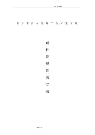 项目管理组织方案