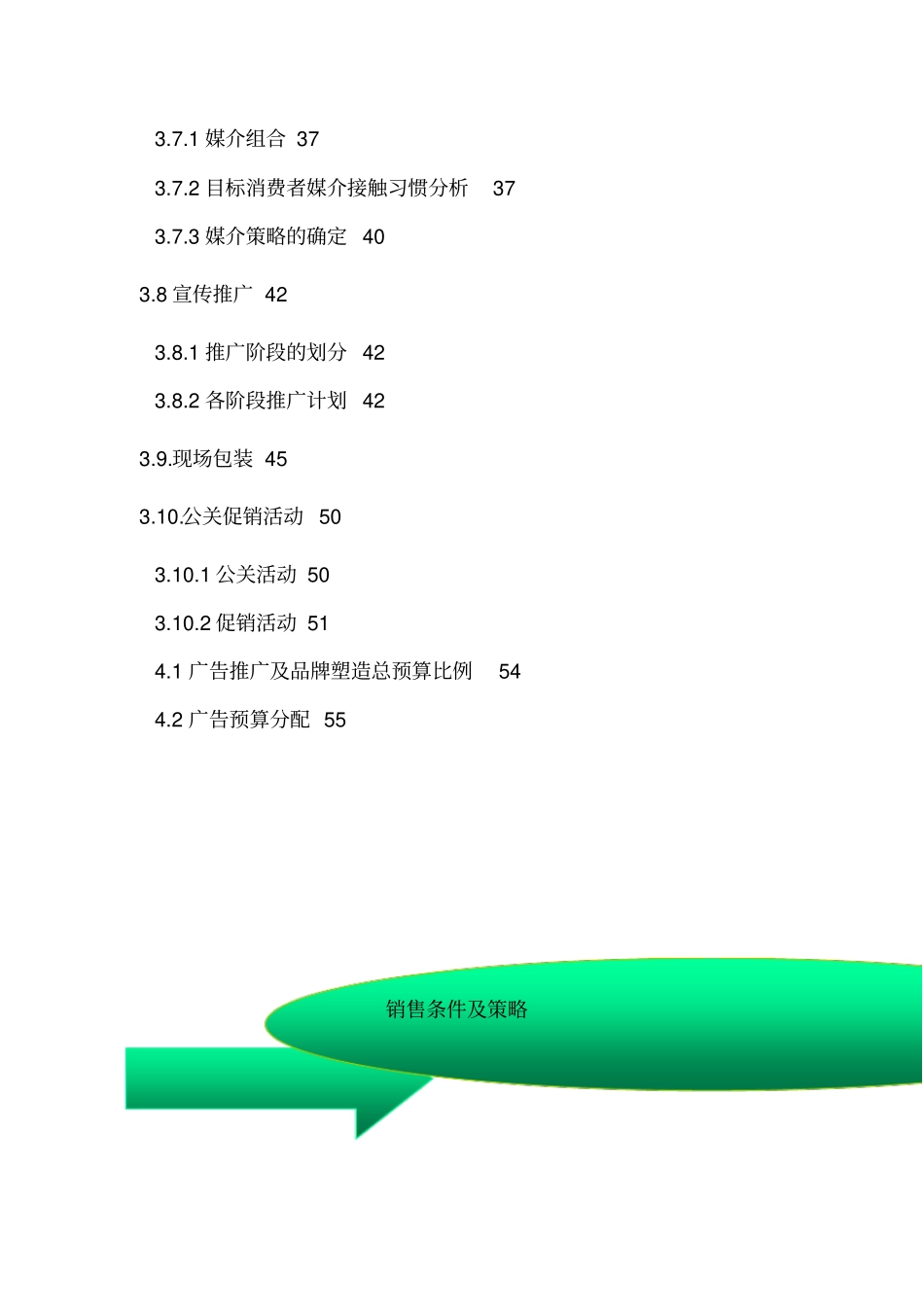 项目营销策略与定价策略_第3页