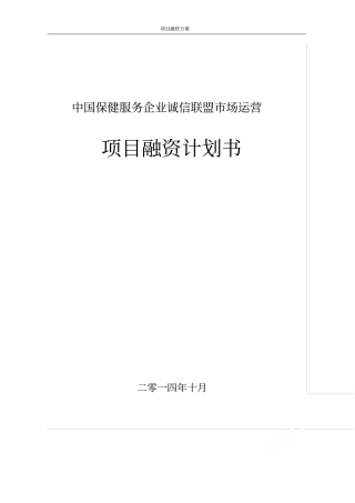 项目融资方案