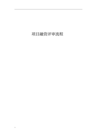项目融资评审全面流程x