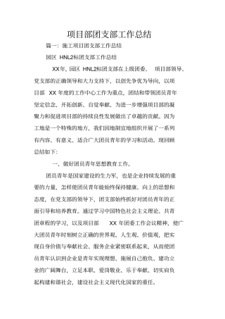 项目部团支部工作总结