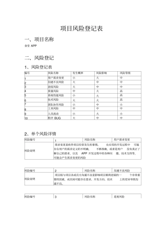 项目风险登记表
