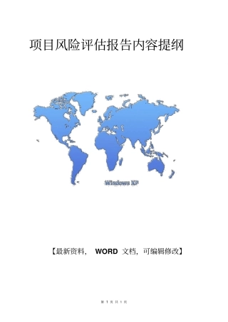 项目风险评价报告内容提纲