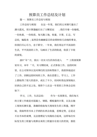 预算员工作总结及计划