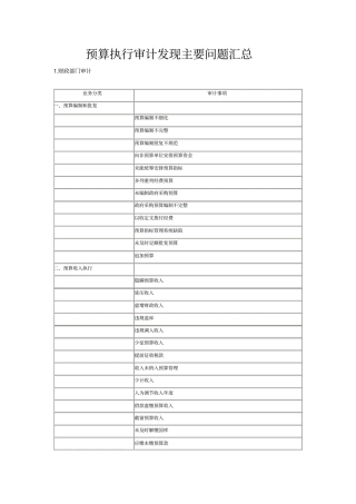 预算执行审计发现主要问题汇总