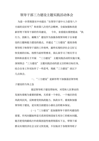 领导干部三力建设主题实践活动体会