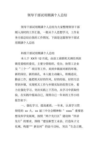 领导干部试用期满个人总结