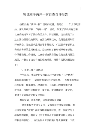 领导班子两评一树自查自评报告
