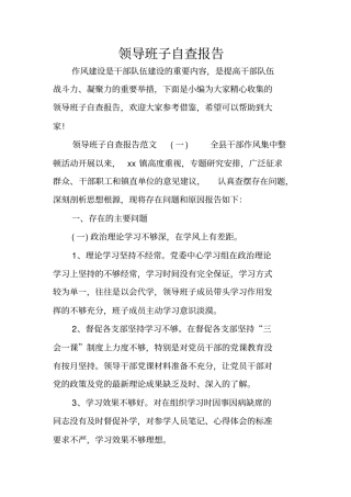 领导班子自查报告