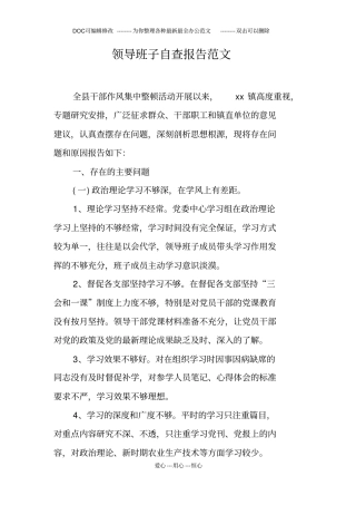 领导班子自查报告范文