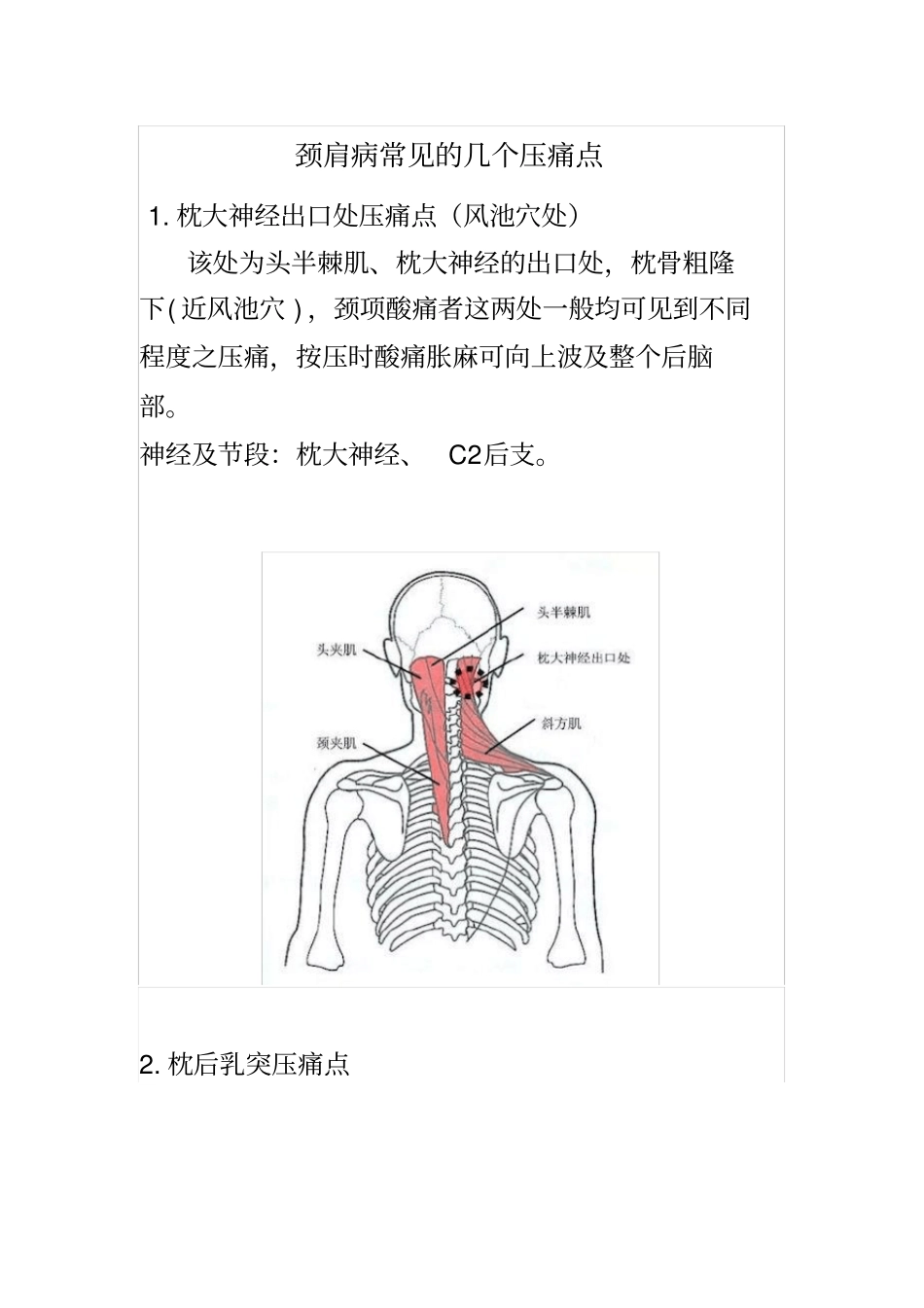 颈肩病常见的几个压痛点_第2页