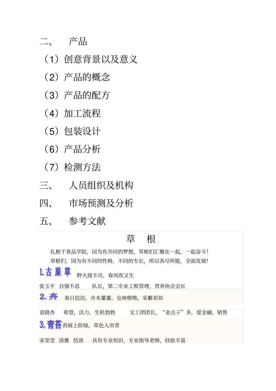 食品创意计划书zuizhong0_第3页