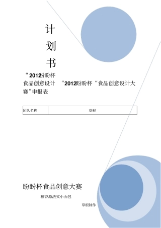 食品创意计划书zuizhong0