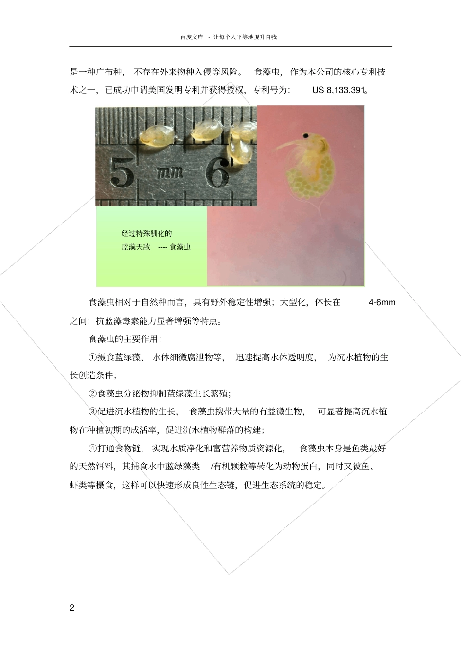 食藻虫技术的稳定性_第2页