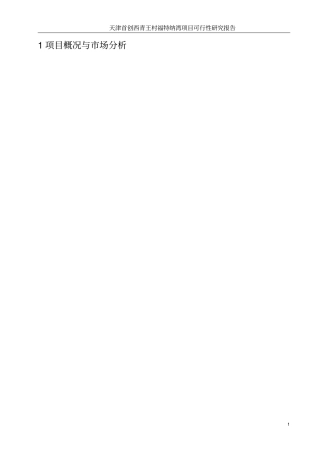 首创西青王村福特纳湾项目可行性研究报告