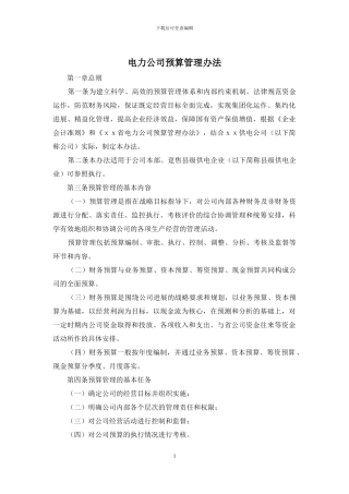 电力公司预算管理办法