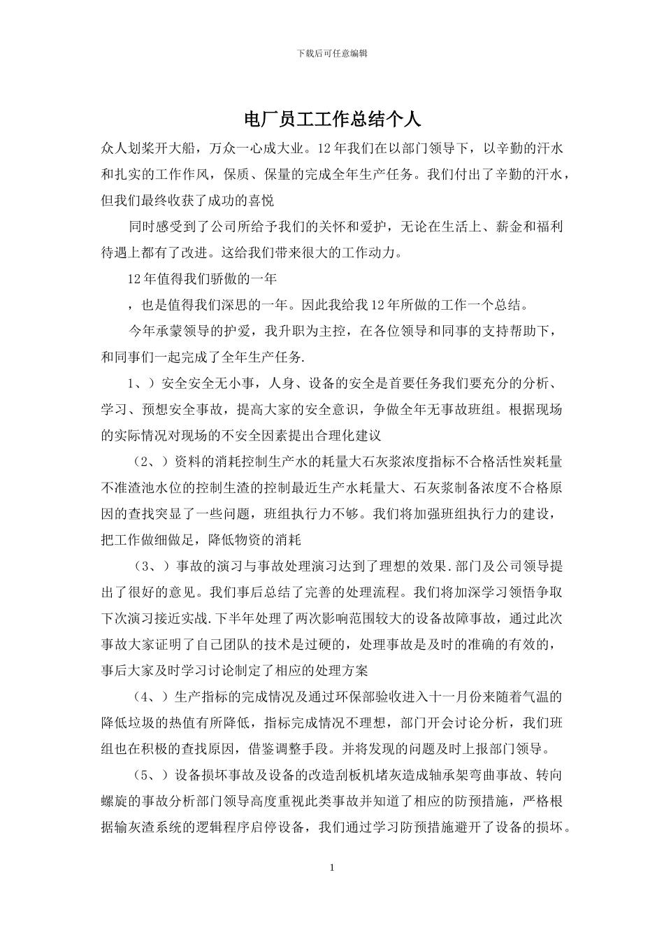 电厂员工工作总结个人_第1页