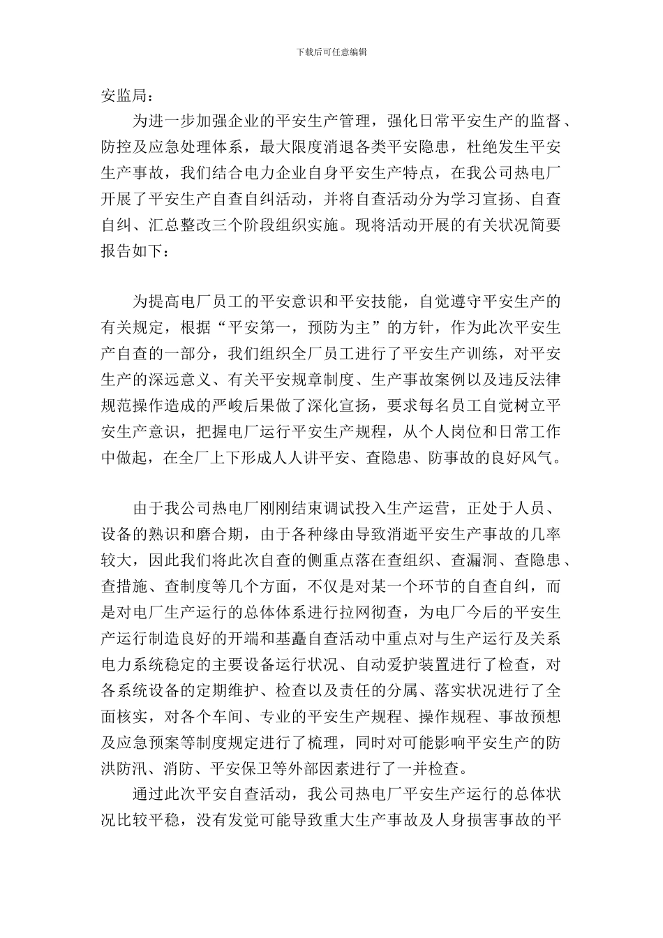 电厂安全自查报告_第2页