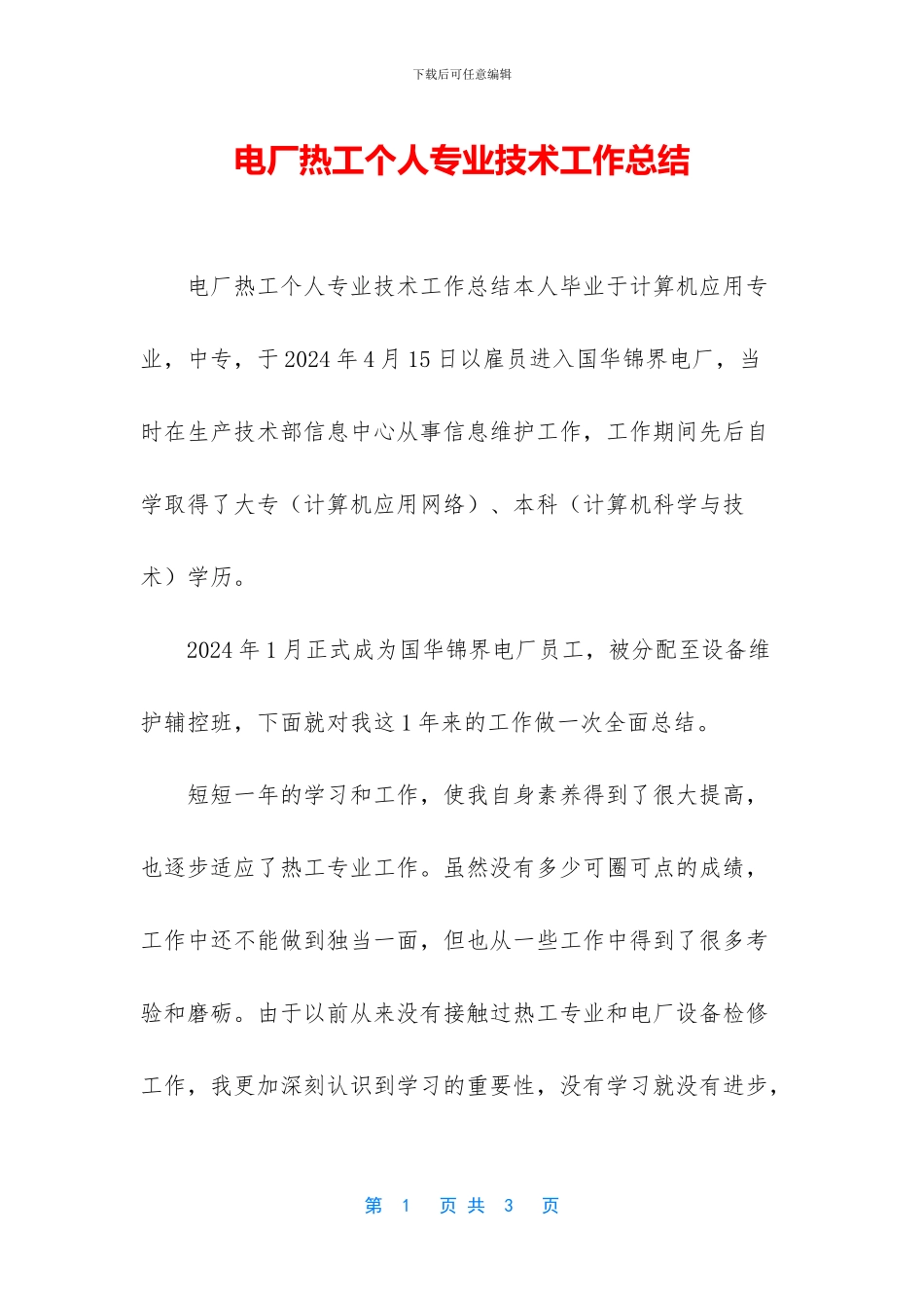 电厂热工个人专业技术工作总结_第1页
