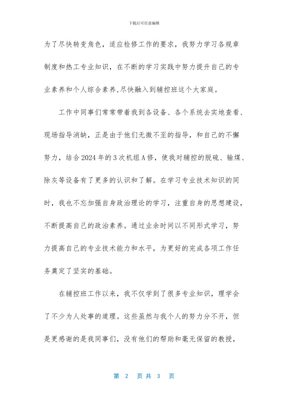 电厂热工个人专业技术工作总结_第2页