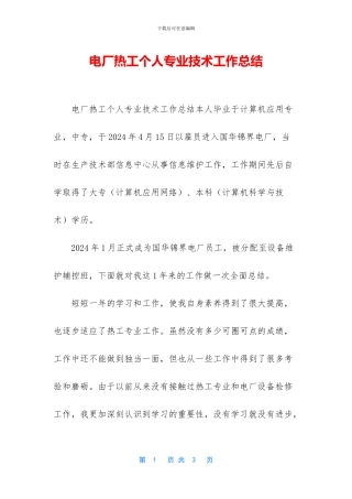 电厂热工个人专业技术工作总结