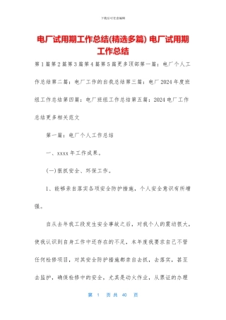 电厂试用期工作总结