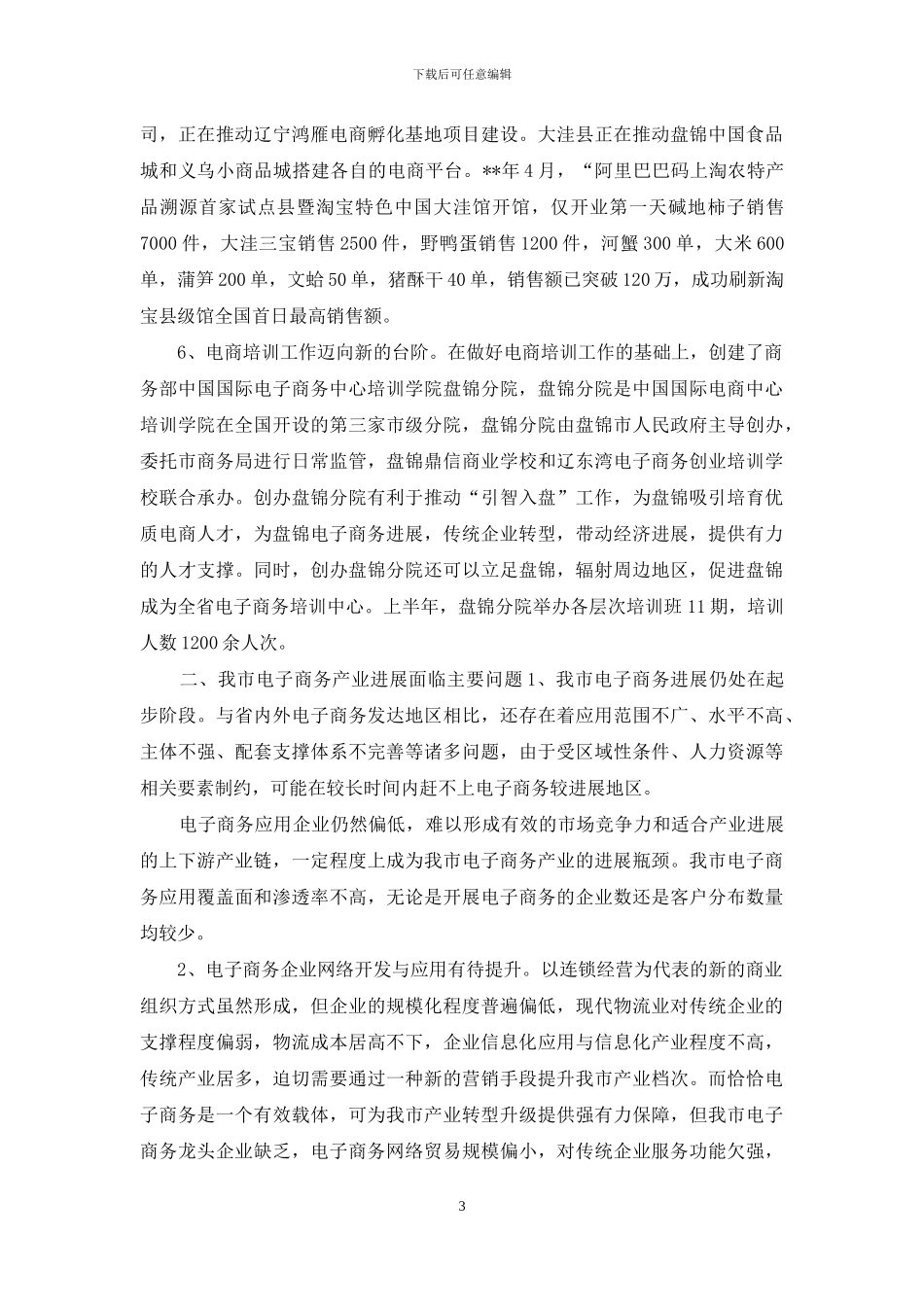 电子商务产业发展调研报告_第3页