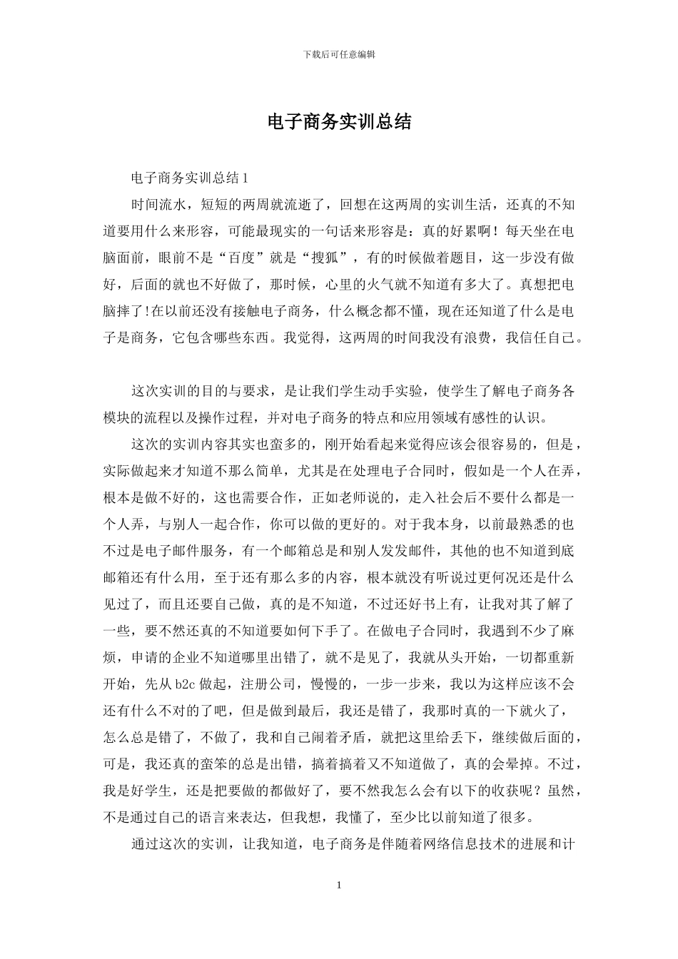 电子商务实训总结_第1页