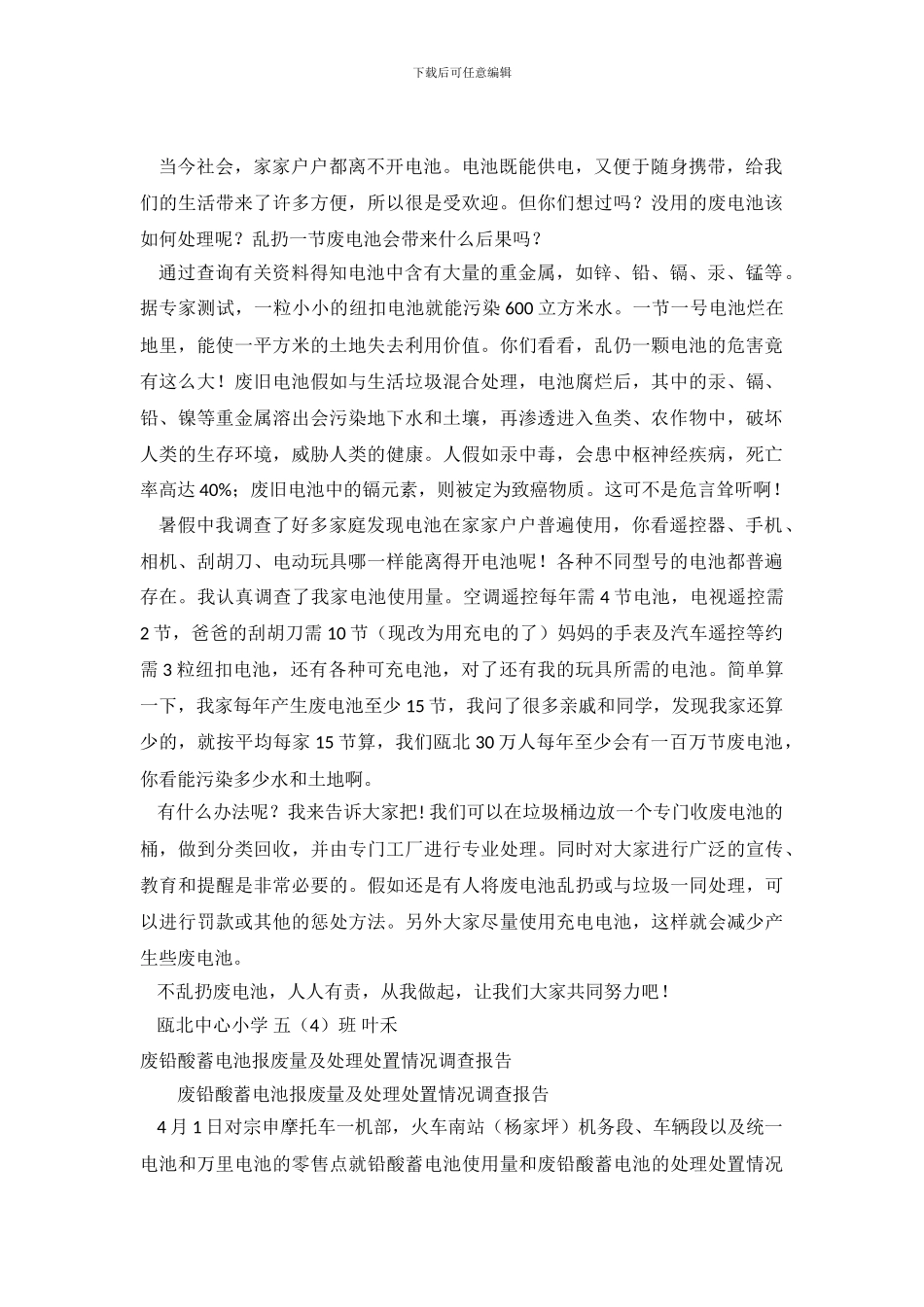 电池调查报告2篇_第2页