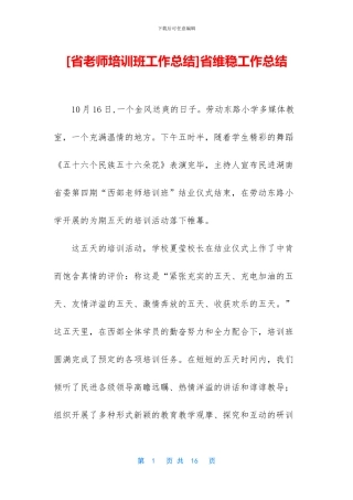 省维稳工作总结