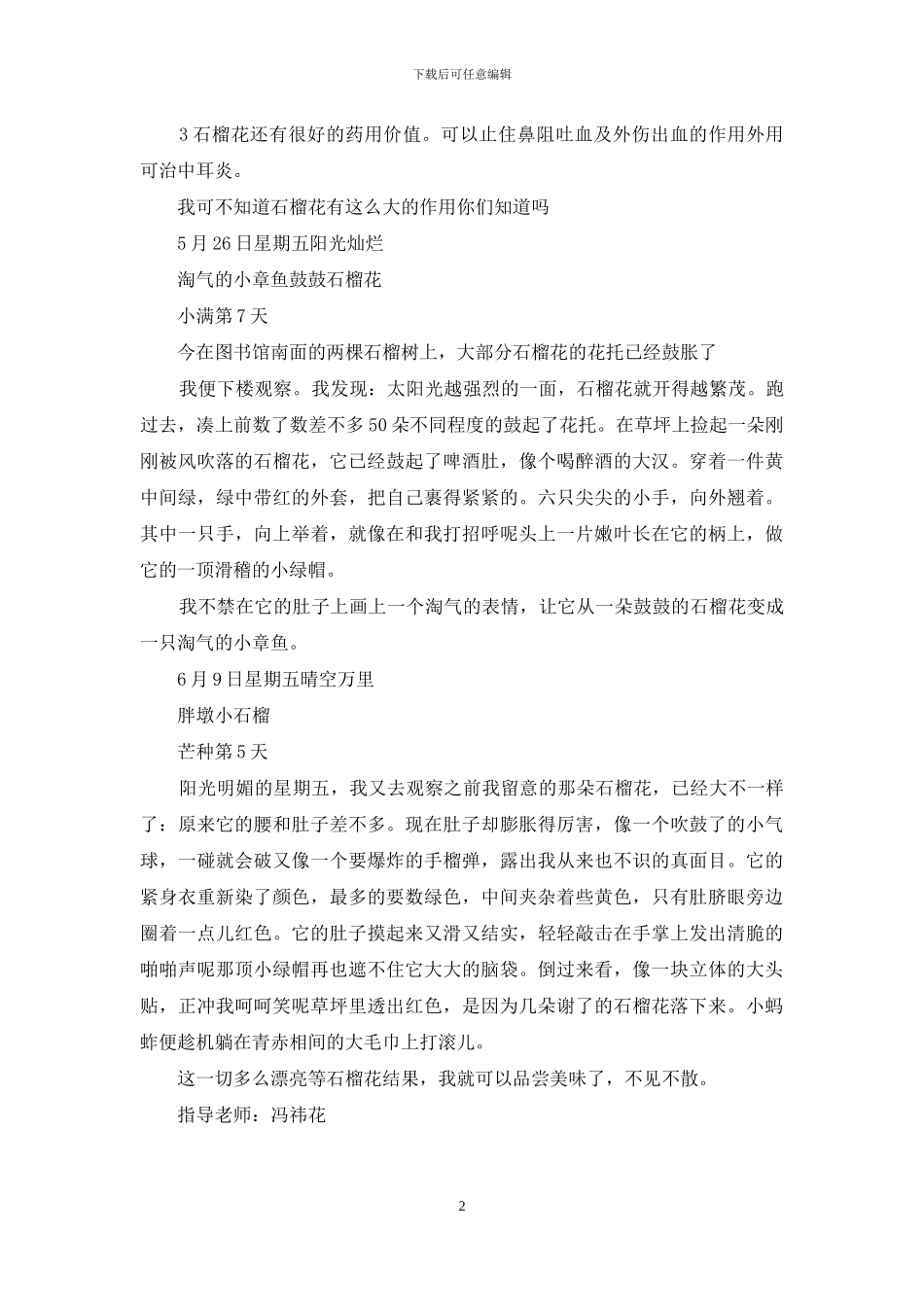 石榴的作文400字作文作文石榴记_第2页