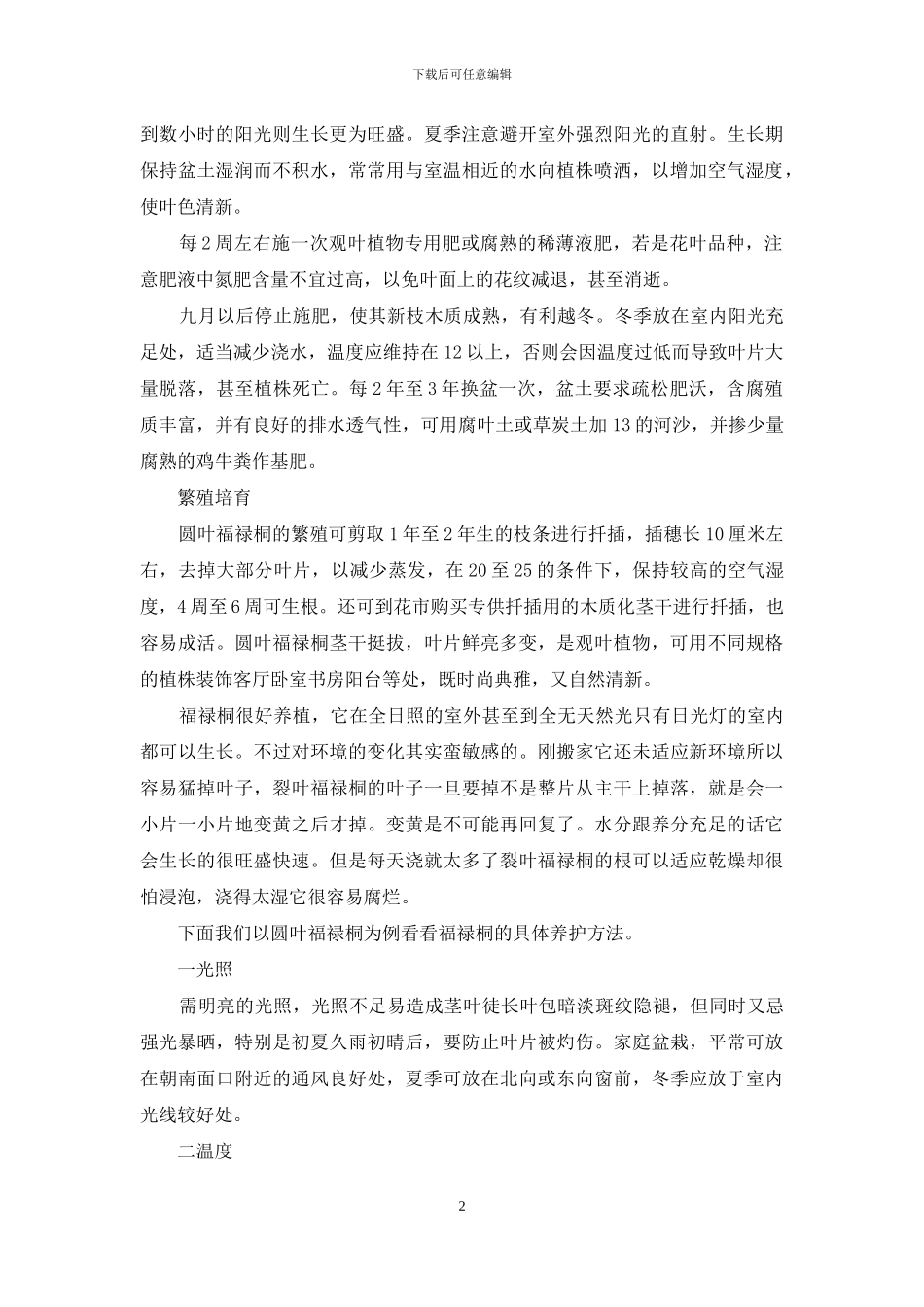 福禄桐的养殖方法_第2页