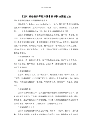 福禄桐的养殖方法