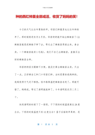 种的西红柿苗全部成活